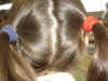 DSC00716.JPG (93185 octets)