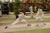 DSC_2634.JPG (417468 octets)