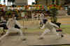 DSC_2646.JPG (444696 octets)