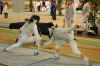 DSC_2660.JPG (355077 octets)