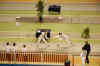 DSC_2680.JPG (419948 octets)