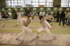 DSC_2688.JPG (390169 octets)